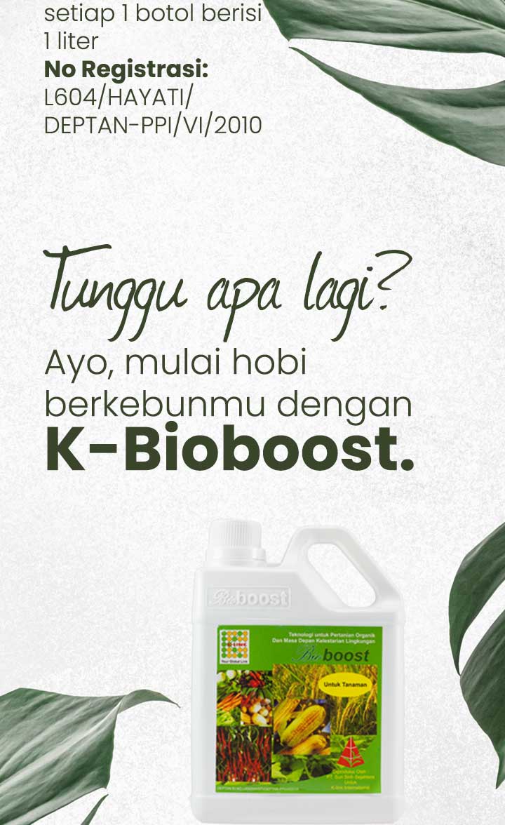 K-Bioboost V-2 - RafiGunadi_Storw